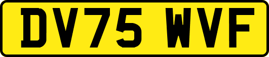 DV75WVF