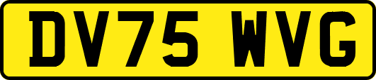 DV75WVG
