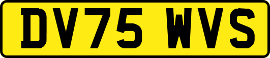 DV75WVS