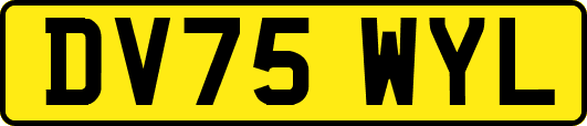 DV75WYL