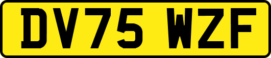 DV75WZF