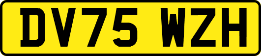 DV75WZH