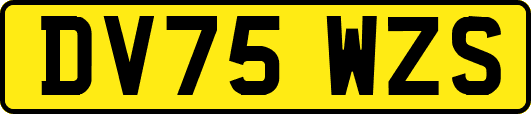 DV75WZS