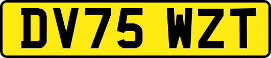DV75WZT