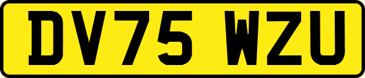 DV75WZU