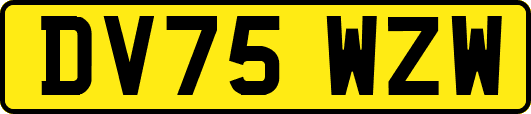 DV75WZW