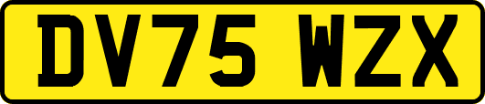 DV75WZX