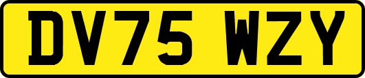 DV75WZY