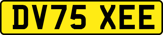 DV75XEE