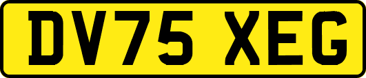 DV75XEG