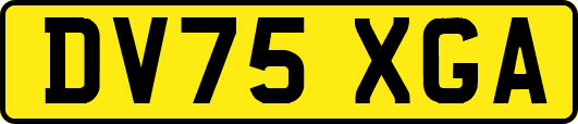 DV75XGA