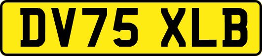 DV75XLB