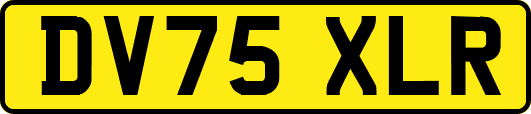 DV75XLR