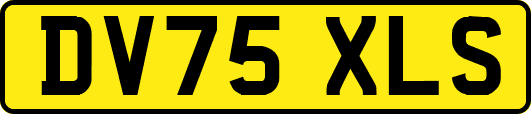 DV75XLS