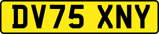 DV75XNY