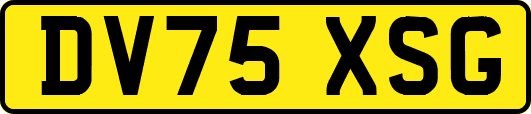 DV75XSG