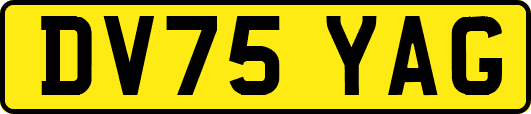 DV75YAG