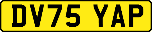 DV75YAP