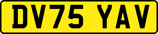 DV75YAV