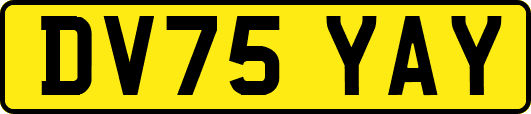 DV75YAY
