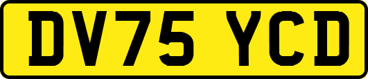 DV75YCD