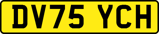 DV75YCH