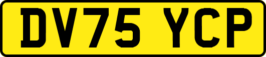 DV75YCP