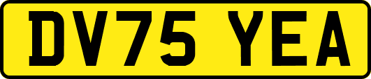 DV75YEA