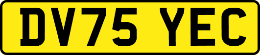 DV75YEC