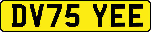 DV75YEE
