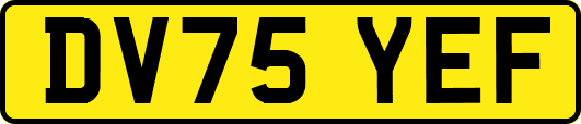 DV75YEF