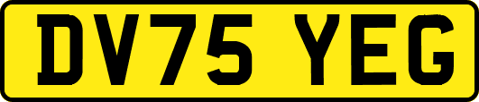 DV75YEG