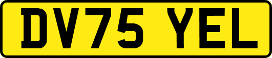 DV75YEL