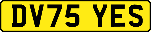 DV75YES