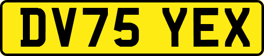 DV75YEX