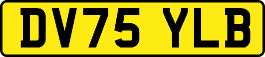 DV75YLB