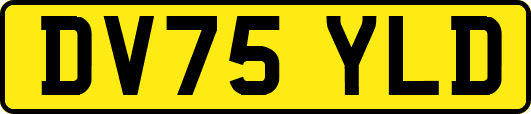 DV75YLD