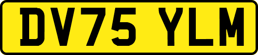 DV75YLM