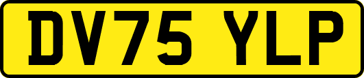 DV75YLP