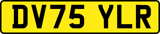 DV75YLR