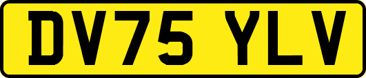 DV75YLV