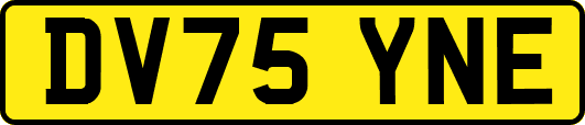 DV75YNE