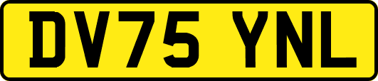DV75YNL