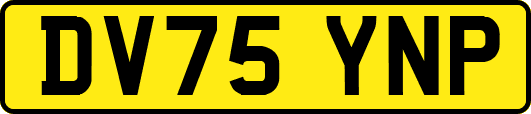 DV75YNP