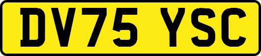 DV75YSC