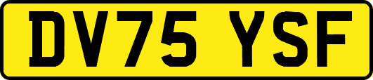 DV75YSF