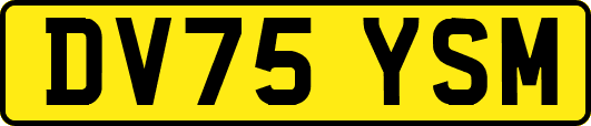 DV75YSM