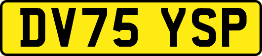 DV75YSP