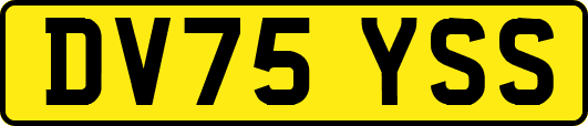 DV75YSS