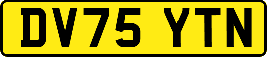 DV75YTN